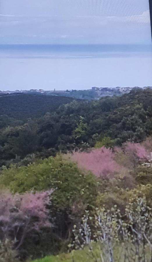 הוילה Aigani Πανοραμα מראה חיצוני תמונה
